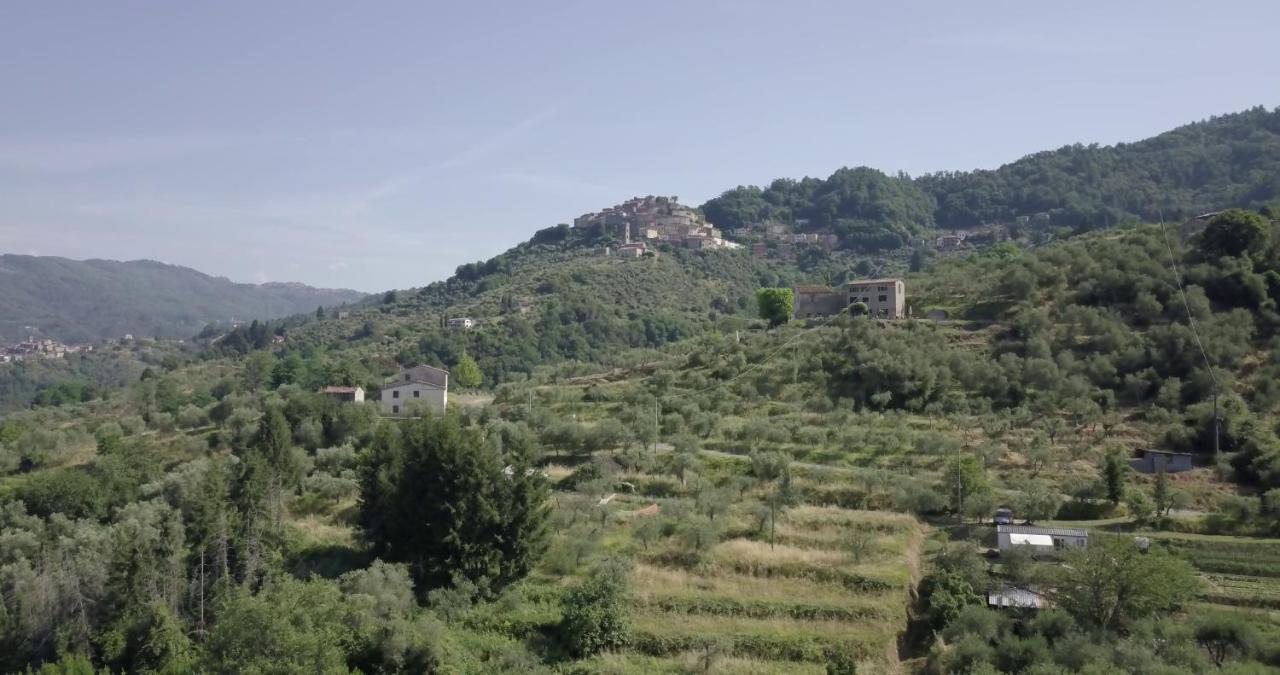Luxury Villa In Tuscany - Casa Di Nonnas Pescia Buitenkant foto
